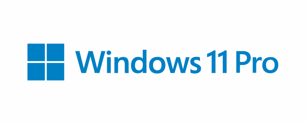 Logo: Windows 11 Pro